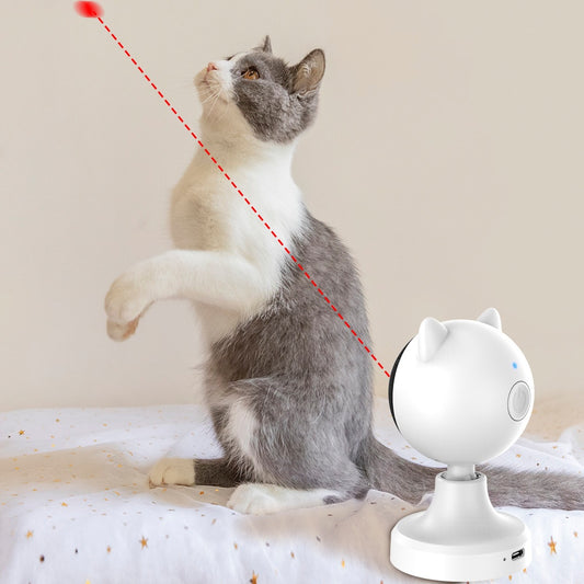 Automatisches Laser-Spielzeug für Katzen