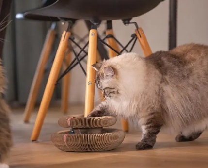 Katzen Kratzspielzeug